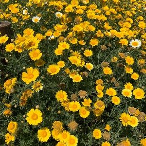 Meet your Posher, Jaiden